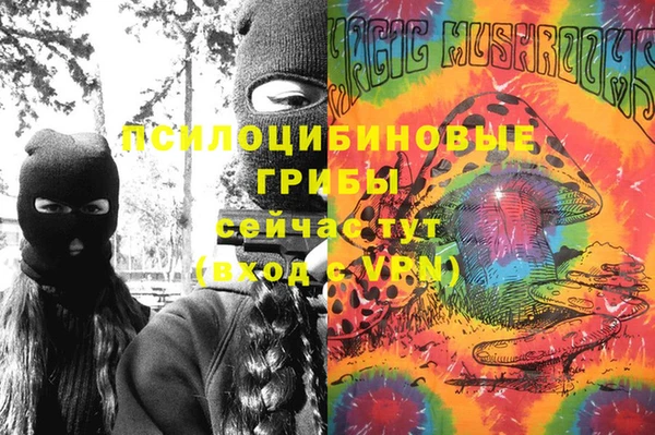 шишки Новодвинск