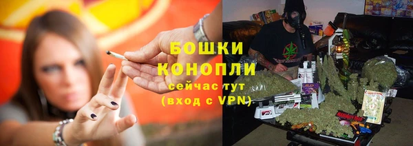 ПСИЛОЦИБИНОВЫЕ ГРИБЫ Осинники
