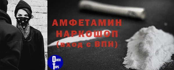 шишки Новодвинск