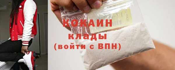 шишки Новодвинск