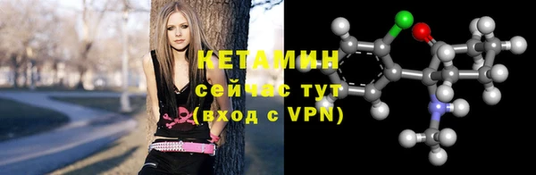 шишки Новодвинск