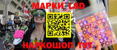гидра Камышлов