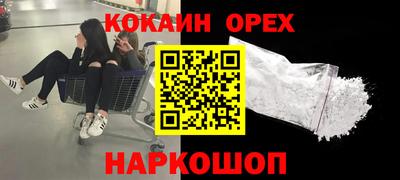 гидра Камышлов
