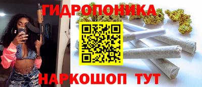 гидра Камышлов