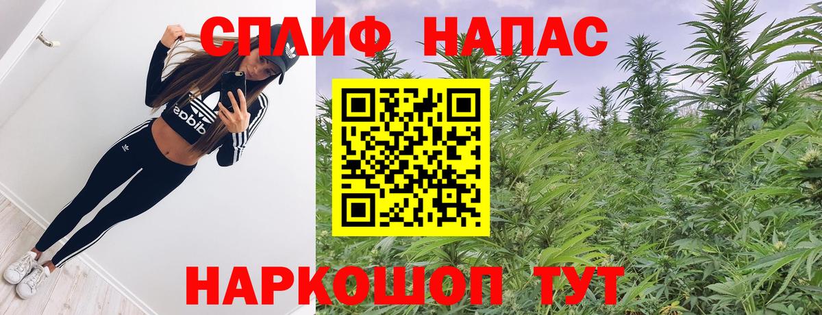 Каннабис SATIVA & INDICA Лосино-Петровский